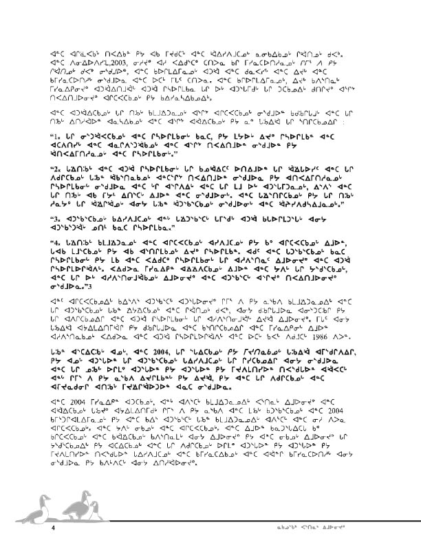 11923 CNC Report 2004_NESK - page 4